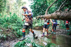 BIB: 
                            <button type="button" onclick="openModal(25517766)" class="btn btn-primary btn-sm float-right btn-popup" data-toggle="modal" data-target=".modal-high-quality">
                        <i class="fas fa-shopping-cart"></i> Add to Cart
                    </button>
                                            <button type="button" onclick="isThisMe(25517766, true)" class="btn btn-success btn-sm float-right btn-popup btn-isme hidden" data-toggle="tooltip" data-placement="bottom" title="นี่คือรูปของคุณใช่ไหม คลิกที่นี่เพื่อเอาเข้าอัลบั้ม">
                        <i class="fas fa-plus"></i> Add to album
                    </button>
                    <button type="button" onclick="isThisMe(25517766, false)" class="btn btn-warning btn-sm float-right btn-popup btn-isnotme hidden">
                        <i class="fas fa-ban"></i> Remove from album
                    </button>